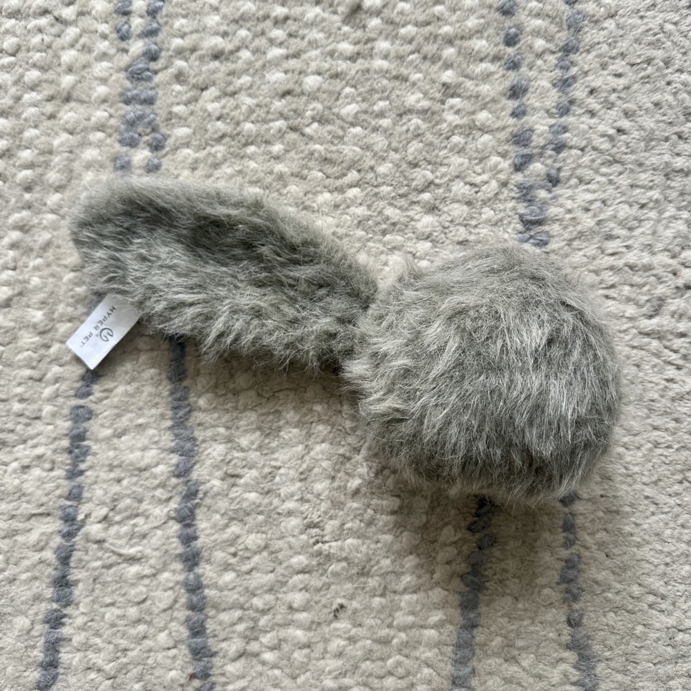 squirrel ball